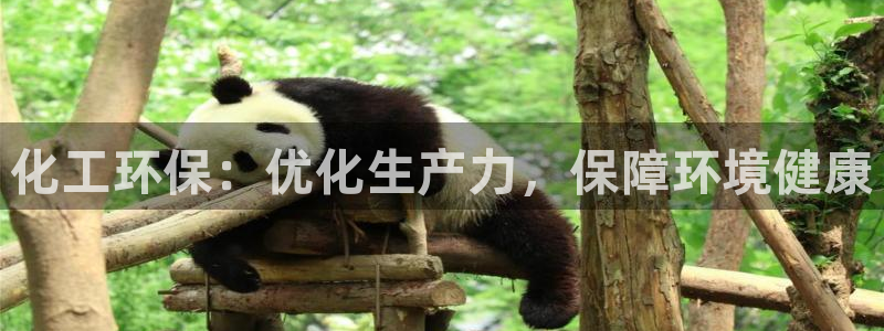 亿万讲什么：化工环保：优化生产力，保障环境健康