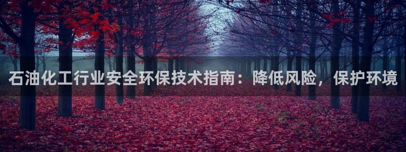 mr07亿万先生：石油化工行业安全环保技术指南：降低风险，保护环境