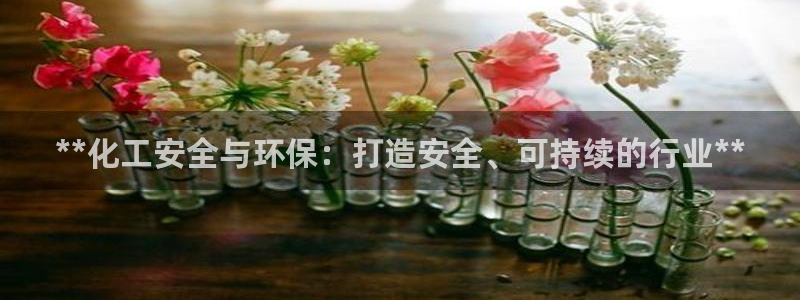 亿万首富手游兑换码：**化工安全与环保：打造安全、可持续的行业**