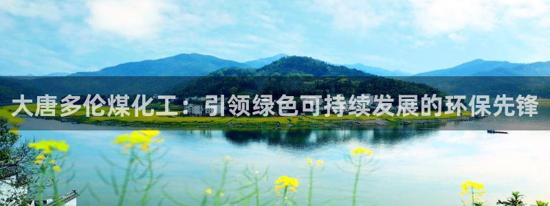亿万先生mr008：大唐多伦煤化工：引领绿色可持续发展的环保先锋