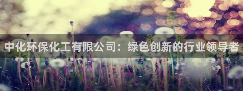 亿万先生007官网：中化环保化工有限公司：绿色创新的行业领导者