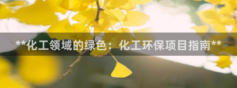 亿万千百十：**化工领域的绿色：化工环保项目指南**