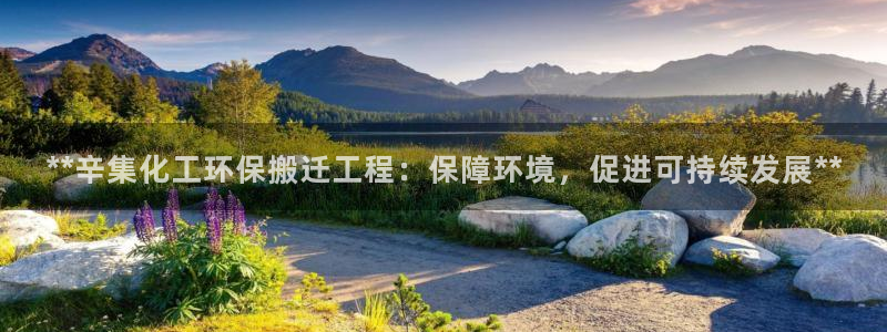 亿万第一季解说：**辛集化工环保搬迁工程：保障环境，促进可持续发展**