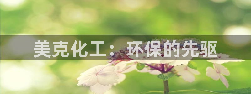 亿万先生 菲律宾：美克化工：环保的先驱