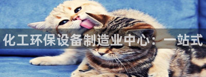 亿万第一集：化工环保设备制造业中心：一站式