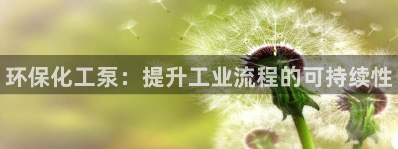 亿万先生游戏：环保化工泵：提升工业流程的可持续性