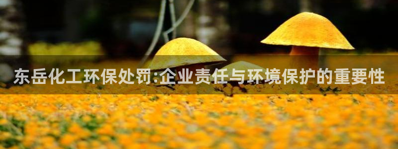 亿万先生客户端官网：东岳化工环保处罚:企业责任与环境保护的重要性
