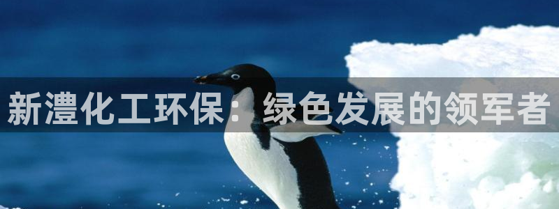 亿万财富网：新澧化工环保：绿色发展的领军者