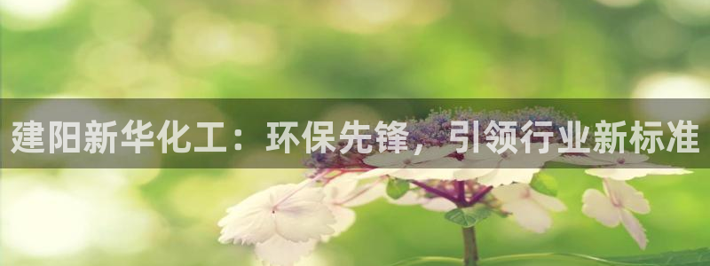 亿万第一集：建阳新华化工：环保先锋，引领行业新标准