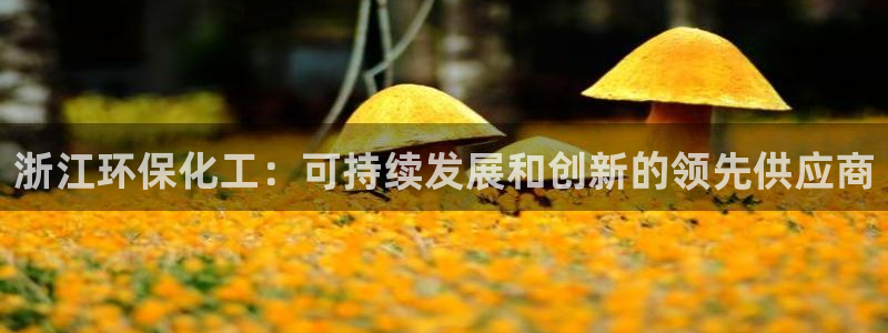 亿万百度百科官网：浙江环保化工：可持续发展和创新的领先供应商