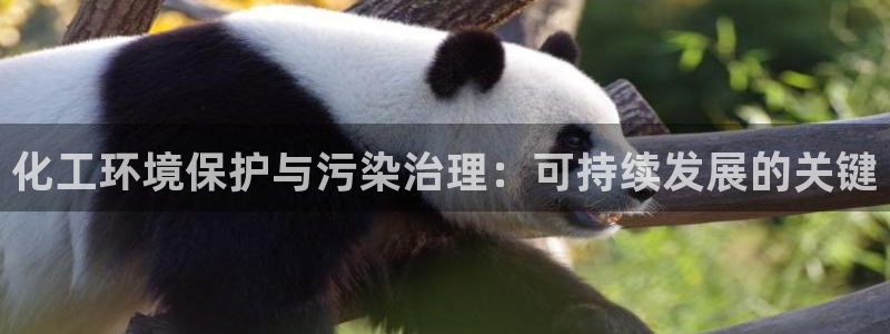 亿万先生用什么客户端：化工环境保护与污染治理：可持续发展的关键