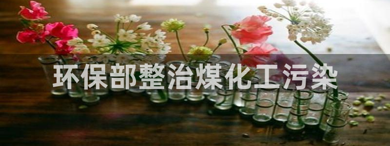 亿万国际：环保部整治煤化工污染