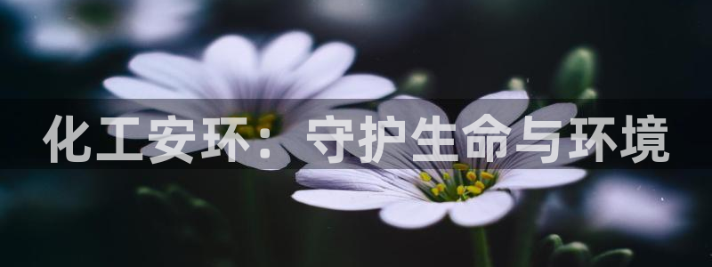 亿万国际app：化工安环：守护生命与环境