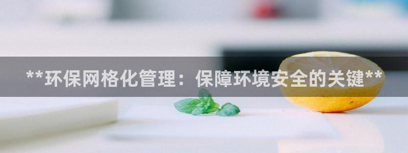 亿万乐购生活超市：**环保网格化管理：保障环境安全的关键**