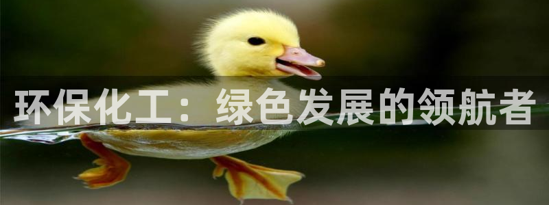 亿万先生mr01官网 - 亿万先生手机版入：环保化工：绿色发展的领航者
