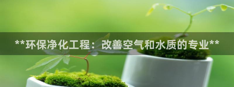 亿万先生客服联系方式：**环保净化工程：改善空气和水质的专业**