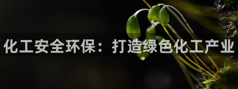 亿万先生手机版入口在哪下载：化工安全环保：打造绿色化工产业