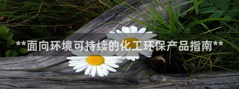 亿万先生官方网站首页：**面向环境可持续的化工环保产品指南**