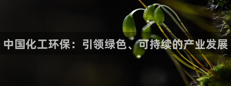 亿万先生手游下载官网