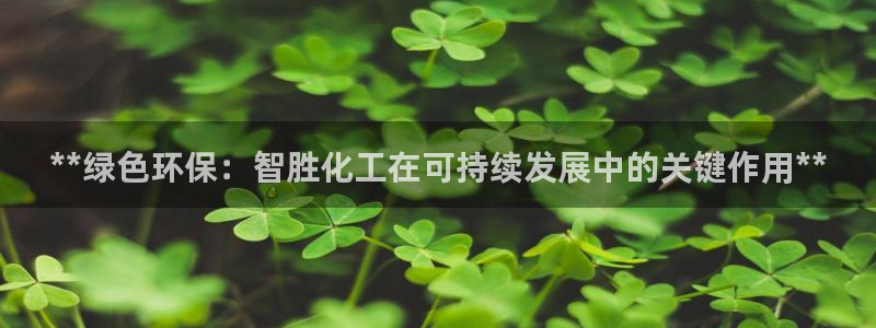 亿万网络科技有限公司ceo：**绿色环保：智胜化工在可持续发展中的关键作用**