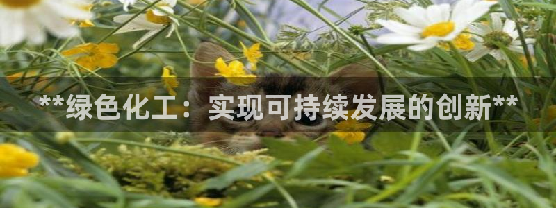 亿万先生mr008cc官网：**绿色化工：实现可持续发展的创新**
