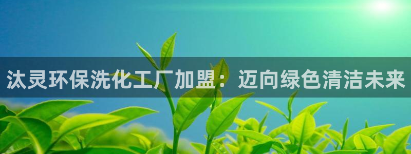 亿万购平台最新消息：汰灵环保洗化工厂加盟：迈向绿色清洁未来