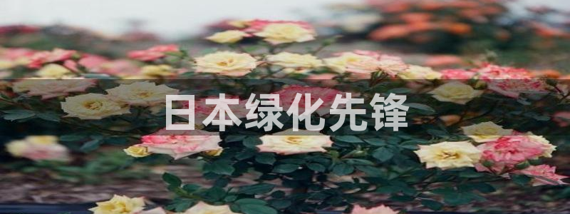亿万先生客户端官网登录：日本绿化先锋