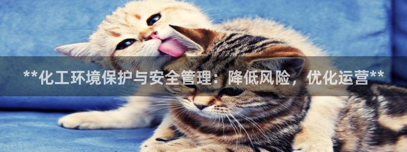 亿万先生官方网站客户端下载安装手机版：**化工环境保护与安全管理：降低风险，优化运营**