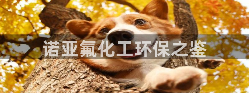 亿万先生客户端官网：诺亚氟化工环保之鉴