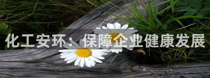 亿万同人字幕组微博的微博：化工安环：保障企业健康发展