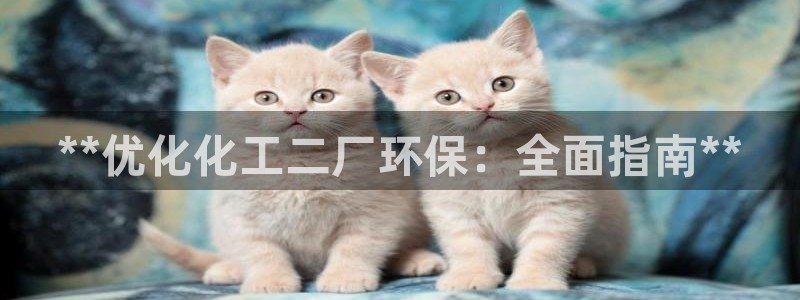 亿万集团：**优化化工二厂环保：全面指南**