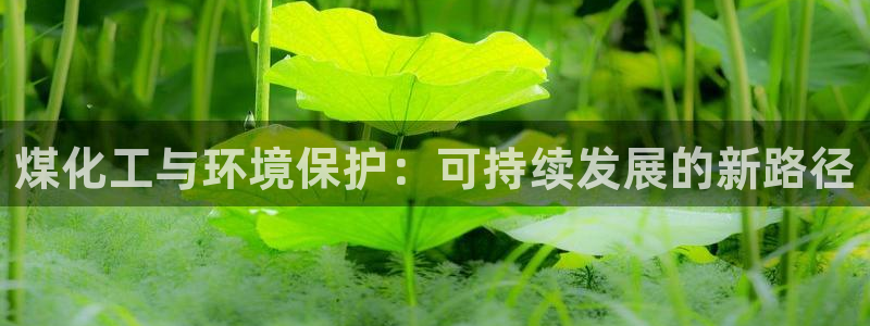 亿万先生下载网址app：煤化工与环境保护：可持续发展的新路径