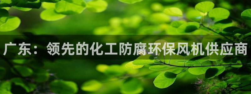 亿万首富游戏：广东：领先的化工防腐环保风机供应商