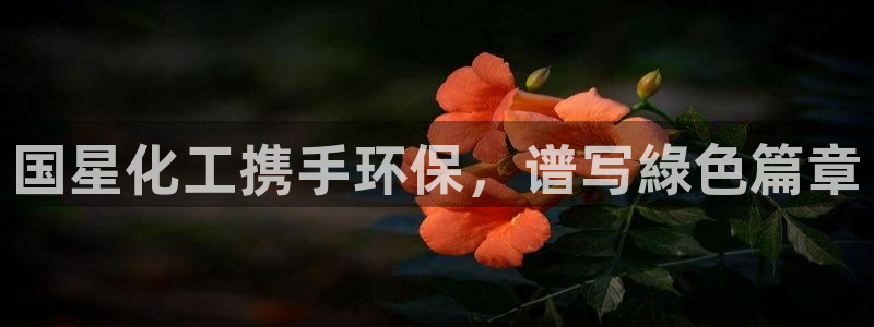 亿万网友在线实时为您解答问题：国星化工携手环保，谱写綠色篇章