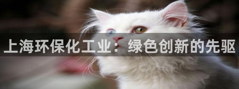 亿万app：上海环保化工业：绿色创新的先驱