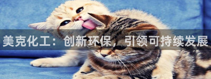 亿万先生手机版入口在哪：美克化工：创新环保，引领可持续发展