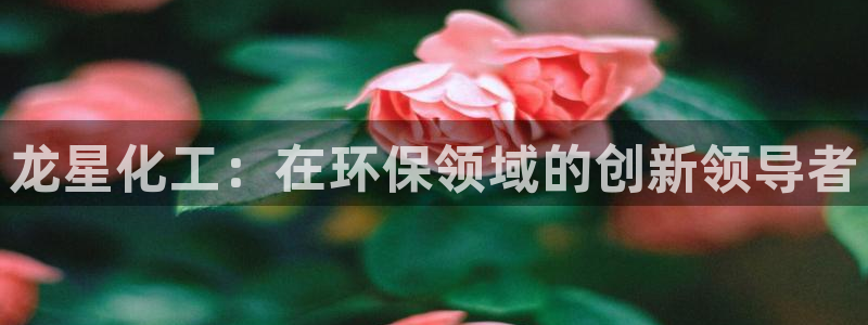 亿万先生官方网站下载手机版