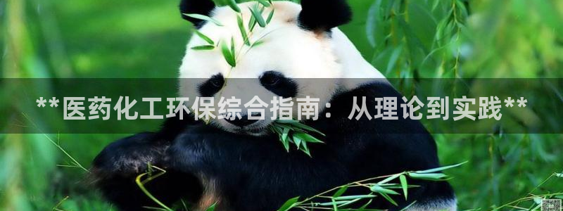 亿万先生情侣车有什么用：**医药化工环保综合指南：从理论到实践**