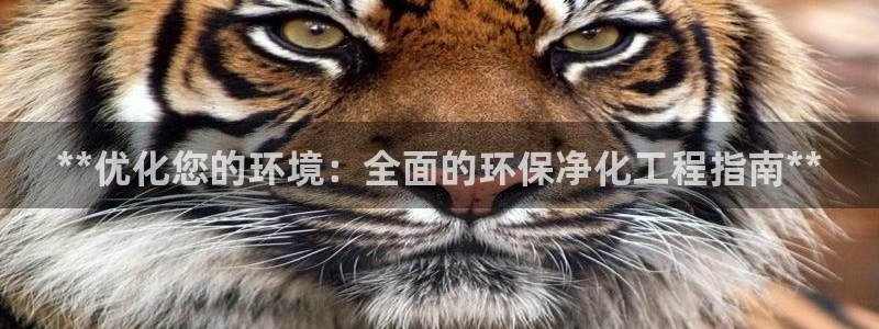 亿万先生MR - 亿万先生mr008cc：**优化您的环境：全面的环保净化工程指南**