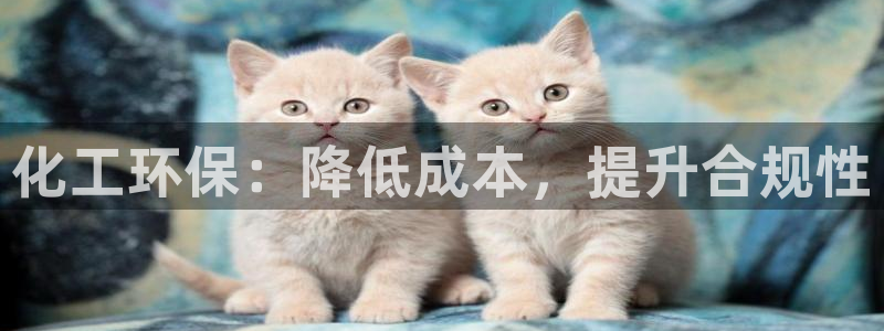 亿万先生情侣车有什么用：化工环保：降低成本，提升合规性
