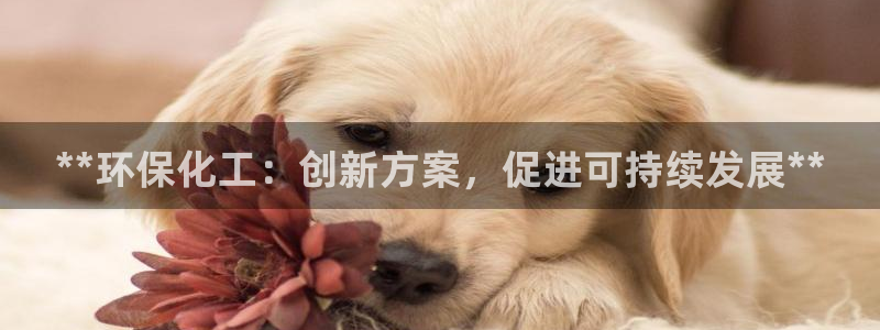 电影 亿万：**环保化工：创新方案，促进可持续发展**