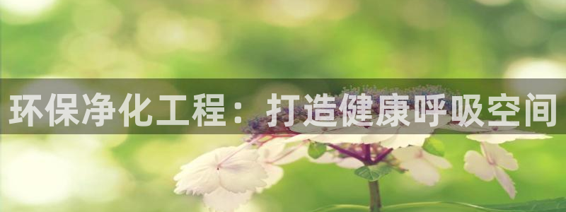 亿万先生MR - 亿万先生mr008cc：环保净化工程：打造健康呼吸空间