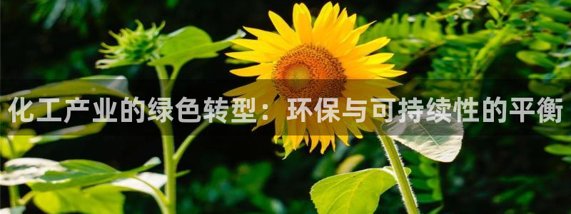 亿万国际：化工产业的绿色转型：环保与可持续性的平衡