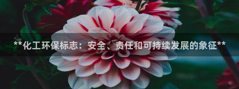 亿万下载徐家汇朋友圈说说：**化工环保标志：安全、责任和可持续发展的象征**