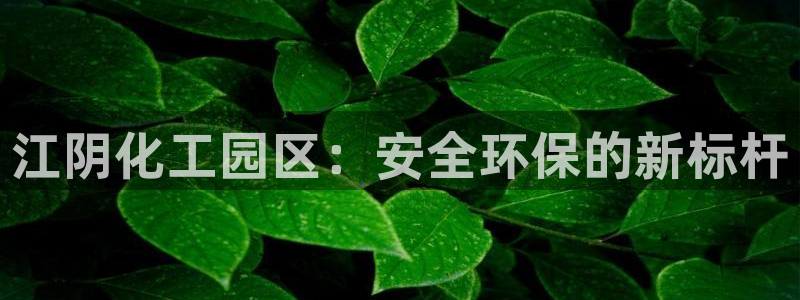 亿万先生合并最新消息：江阴化工园区：安全环保的新标杆