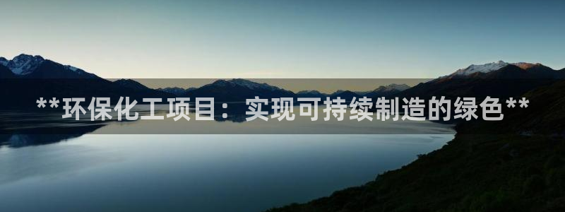亿万的亿：**环保化工项目：实现可持续制造的绿色**