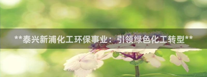 电影 亿万：**泰兴新浦化工环保事业：引领绿色化工转型**