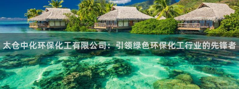 亿万第一季字幕：太仓中化环保化工有限公司：引领绿色环保化工行业的先锋者