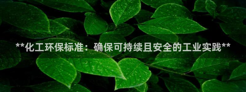 亿万国际：**化工环保标准：确保可持续且安全的工业实践**
