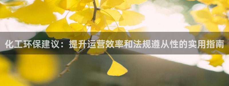 亿万先生充电桩怎么样：化工环保建议：提升运营效率和法规遵从性的实用指南